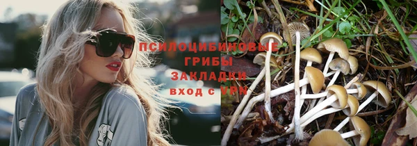 стафф Армянск
