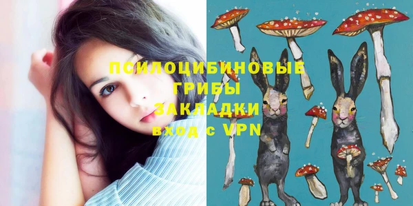гидропоника Аркадак