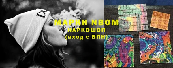 стафф Армянск