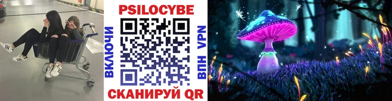 Псилоцибиновые грибы мицелий  Городище 